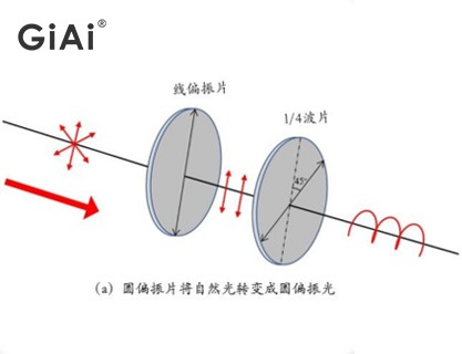 圆偏振光