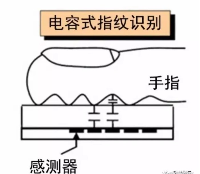电容式指纹识别