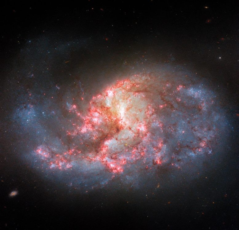 在滤光片加持下哈勃望远镜拍摄的棒旋星系NGC1385图像