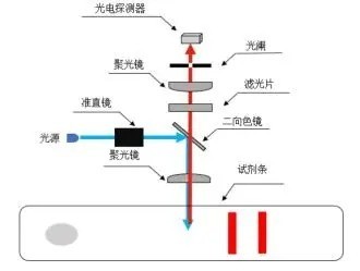 共聚光路原理图