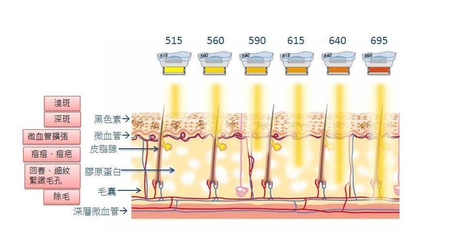 不同波段对皮肤的作用