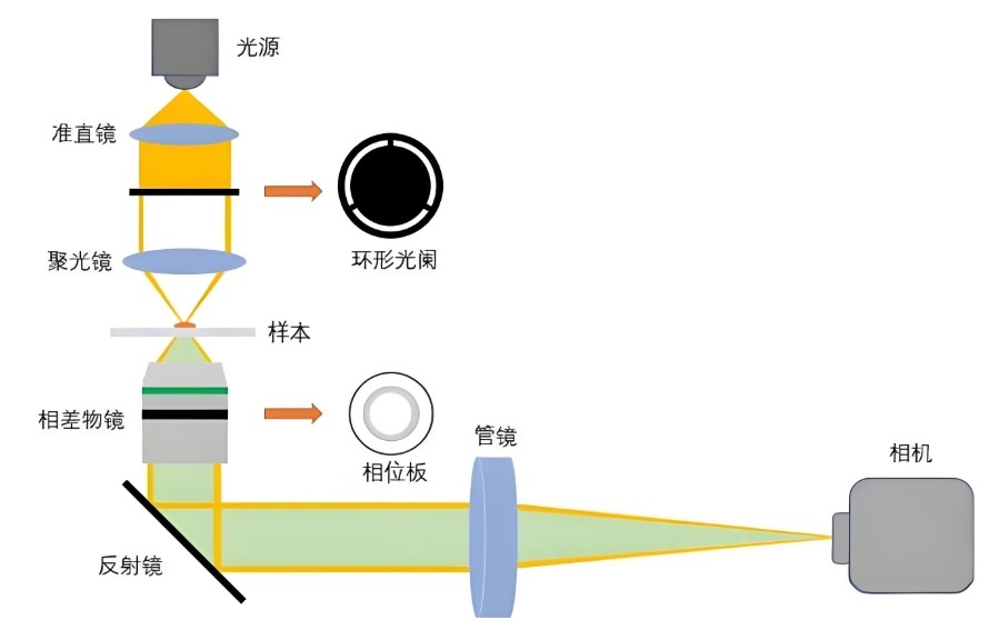 核心光学元件