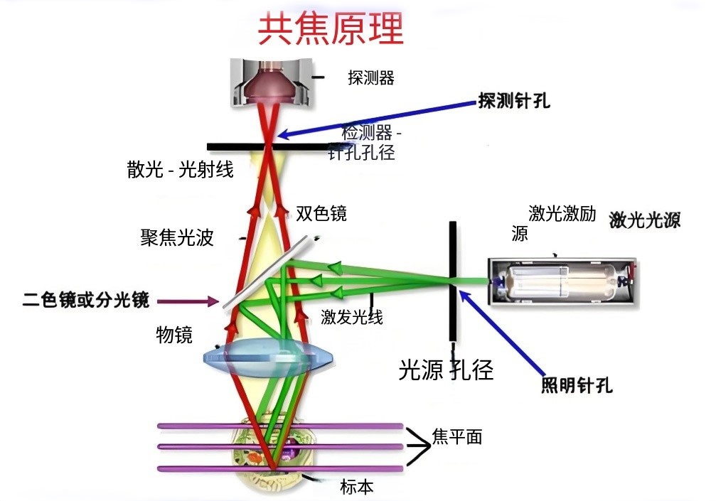 共聚焦显微镜原理图