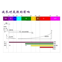 IPL技术原理特点及其应用