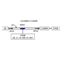 光纤传感技术：崔洪亮和他的&ldquo;中国梦&rdquo;